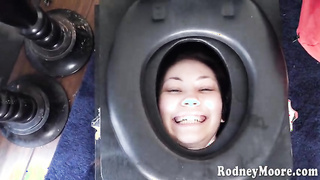 Swallow With A Smile (2020) Lenna Lux