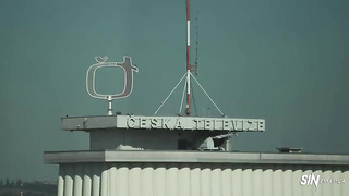 Roof Top Action (2020) Vinna Reed