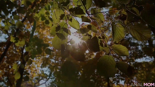 You should do your job as a plumber