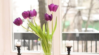 Butterflies In The Stomach (2020) Alice Bright