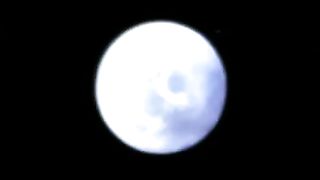 Winged whore ride anime guy