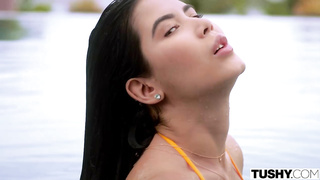 Not Without A Fight - Lady Dee