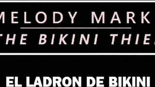 Mi Hermano Es Un Ladrón De Bikini sub