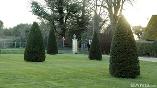 Young Harlots: Break The Rules