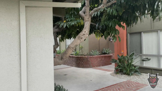 Syren de Mer – Pool Pick Up with Syren