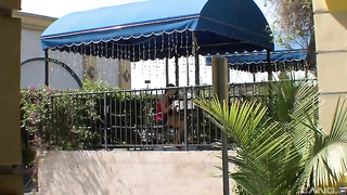 Horny Spanish Flies 5 XXX Free Porn Videos Play Online And Download For Free Full Movies