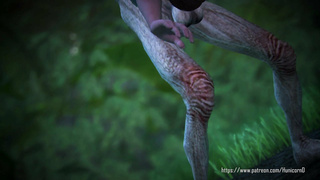 Triss night creatures