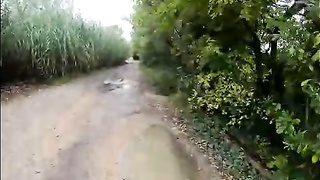 Zavatrash BBC outside