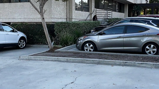 Hardcore pickup/plan to go viral