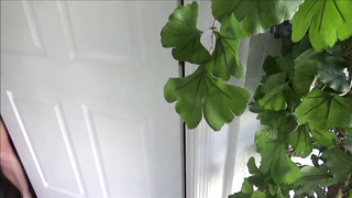 Cory Chase Fuck a stranger