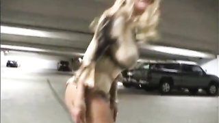 Fucks in public Shyla Stylez