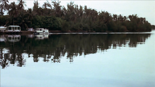 Deep Throat (1972) - Linda Lovelace