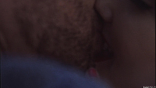 Lena Paul - Curve Appeal 2 [PORNFIDELITY]