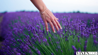 Mia Melano, Stacy Cruz - Something To Look Forward To [VIXEN]