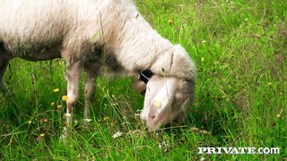 Sofia Lee – Fucked in the Sun