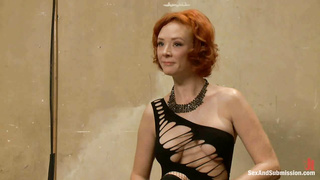 Audrey Hollander - The Politician's Wife