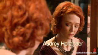 Audrey hollander the politician_s wife