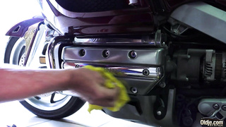 evelina darling 4 video