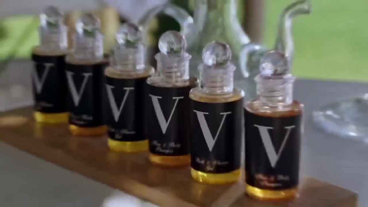 vixen] sonya blaze, lika star hotel vixen episode 7 breaking the ice with  son