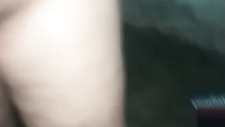 alige
