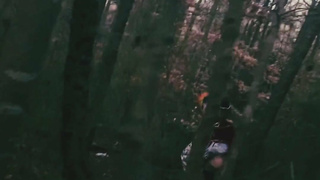 Fuck in wood