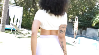 Ltee turner and ebony assup