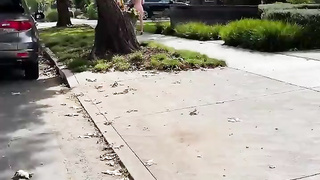 busty blonde fucked in the car