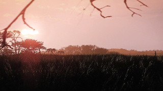 r u l e 3 4 r e v e r s e d