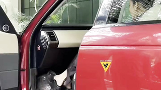 Celebrity Shruti Hassan 8 video