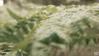 Free Porn Isabela De Laa Nymph XXX