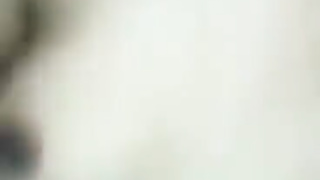 Twitter Indian 247 video