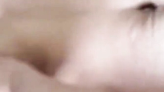 Twitter Indian 252 video