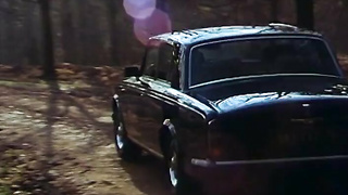 Les Bas De Soie Noire