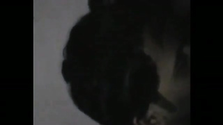 BD Sex video 02