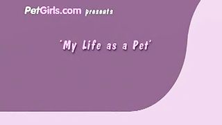 Her Life as a Pet from Petlove
