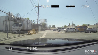 Screw The Cops - Rose Darling gets double teamed by two cops against their patrol car