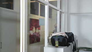 German Sina Velvet has anal sex and facial at the office