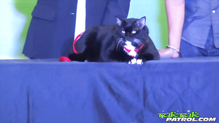 Nanas - ANAL episode Welcome to Thailand XXX