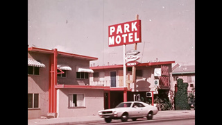 She Did What He Wanted (1971)