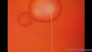 April Olsen - Kayley gunner