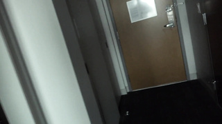 Manuel Ferrara rina ellis