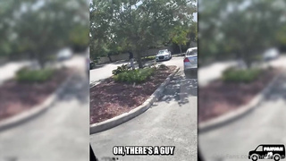 FanBus-Serena Salgot