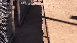 M A D D Y . M A E . B S