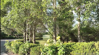 XXX Rocco’s Teens Unleashed #4 | Emma Evans, Francis X