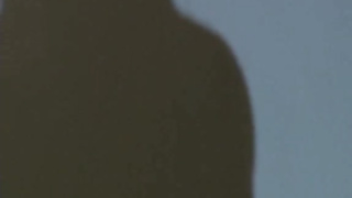 La novia de mi hermano