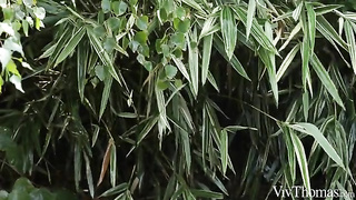 jovenes lesbianas en el jardín