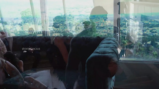 OF HotwifeTour (1988)