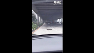 MrLuckyLife-Elle Nova