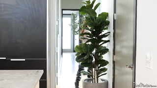 Justine Jakobs - Thrill The Messenger (05.02.2025) rq