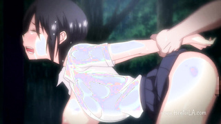 The Animación hentai